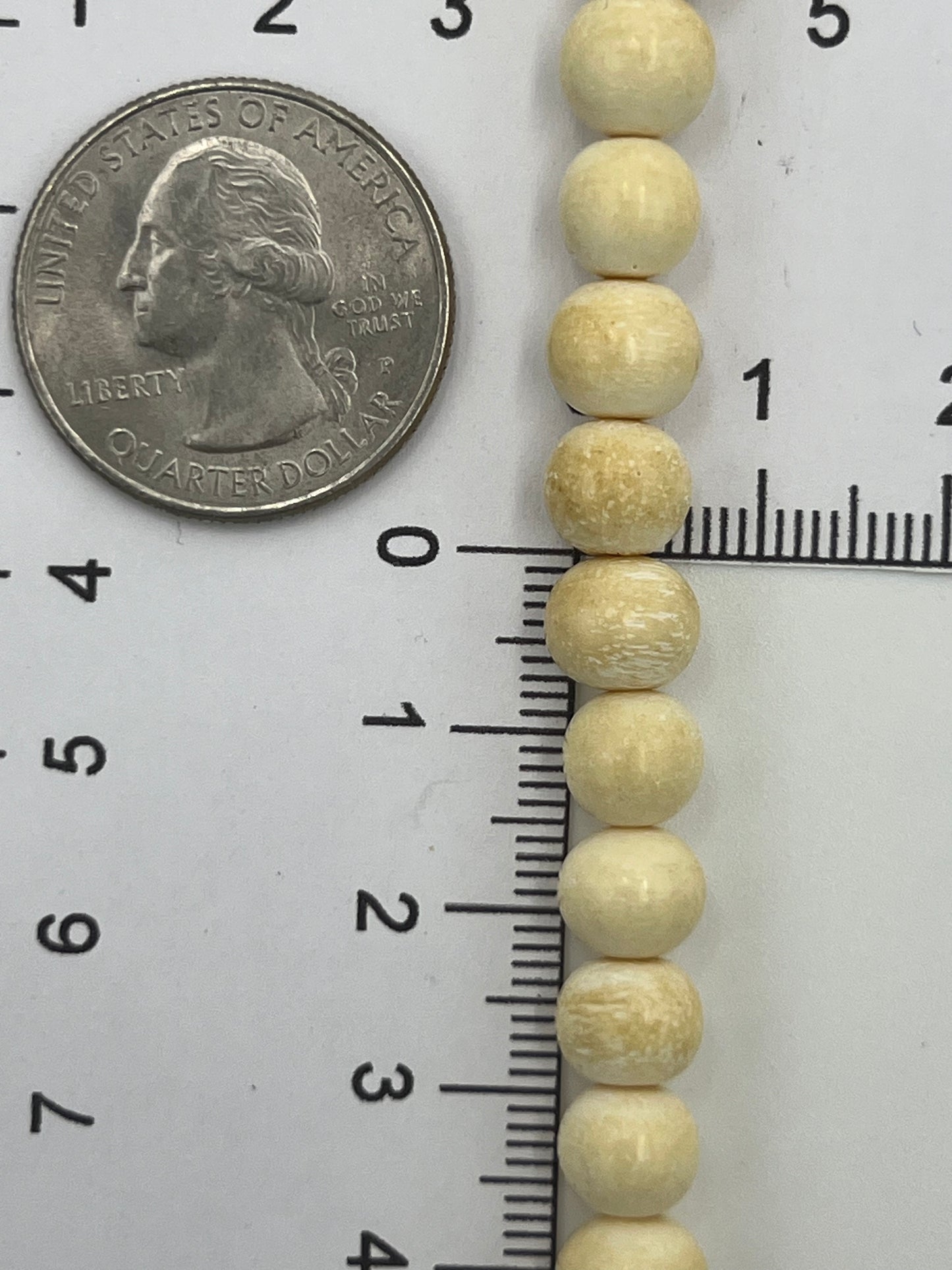 Bone 8mm Cream Beads 1 Strand (40cm)